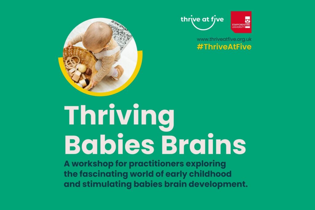 Thriving Babies Brains - a workshop for practitioners exploring early childhood and stimulating babies brain development.